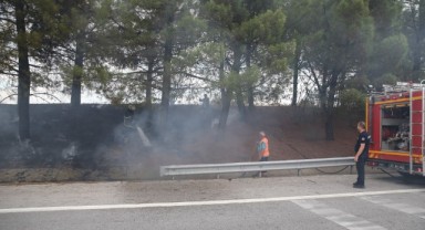 Otoyol kenarında yangın