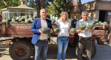 Taybıllı, ‘Kavun üreticisi zararda’