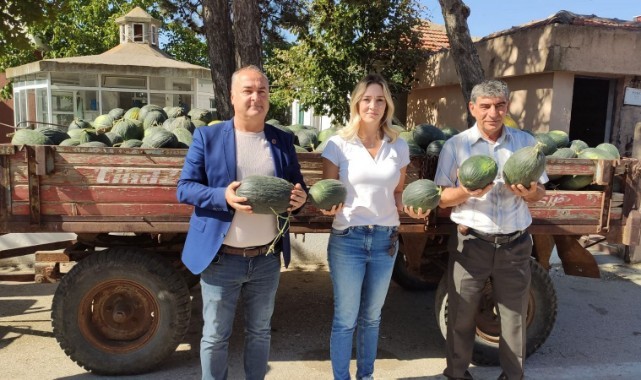 Taybıllı, ‘Kavun üreticisi zararda’