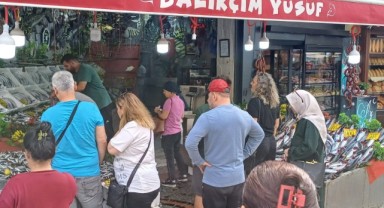 Tezgahta palamut bolluğu