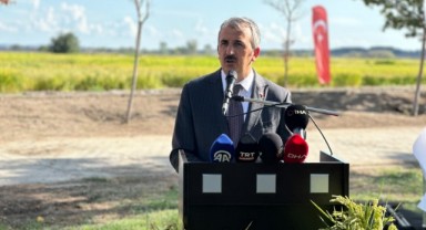 Yeni çeltikler hasat edildi