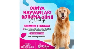 Belediyeden hayvanları koruma günü etkinlikleri