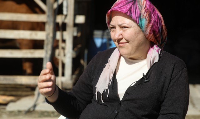Büyükbaşlarıyla aile bütçesine destek oluyor
