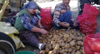 Çiftçilere alternatif ürün patates, soğan