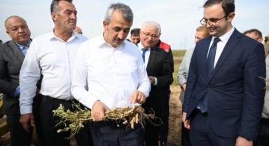 Meriç yer fıstığı zincir marketlerde