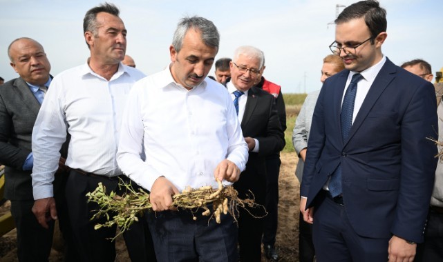 Meriç yer fıstığı zincir marketlerde