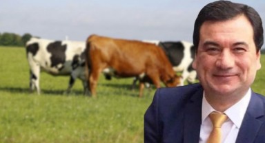‘Salgın yönetimini çok pahalıya öğrendik’
