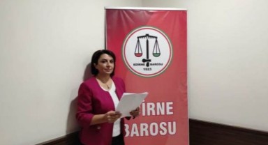 ‘Kadınların maruz kaldığı şiddetin yalnızca fiziksel değil’