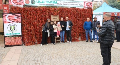 ‘Karaağaç Atırası’