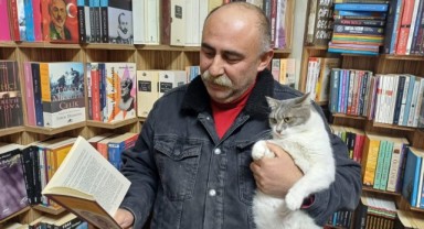 Kitapçının patili dostları