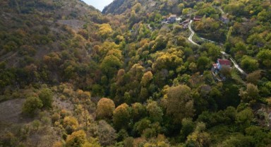 Sonbaharın güzellikleri turistleri ağırlıyor