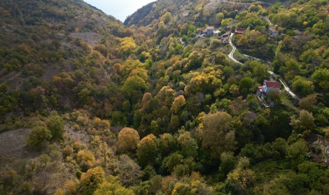 Sonbaharın güzellikleri turistleri ağırlıyor