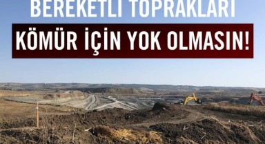 TEMA’dan kömür projeleri tepkisi