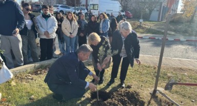 TÜ’den Dünya Zeytin Ağacı Günü etkinliği