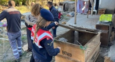 Yasaklı ırk köpek sahibine 317 bin lira ceza