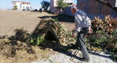Yıllardır sokak köpeklerine kulübe yapıyor