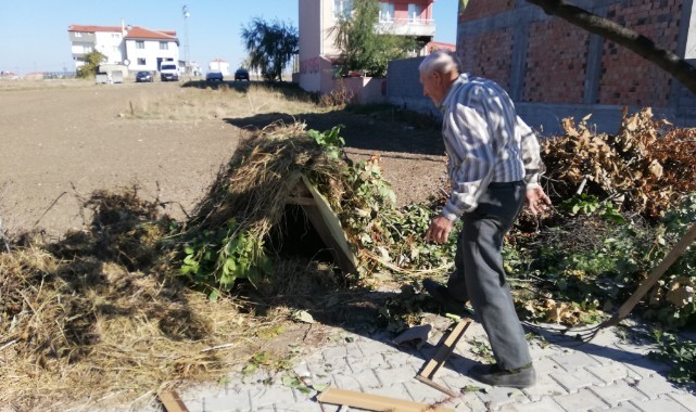 Yıllardır sokak köpeklerine kulübe yapıyor