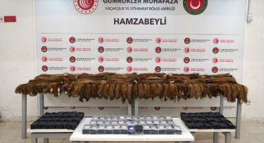 Hamzabeyli’de samur postu ve telefon yakalandı