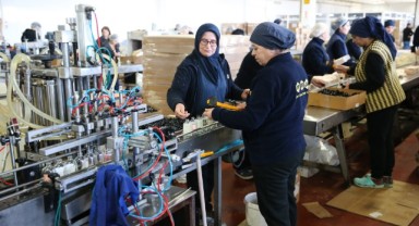 Kozmetik fabrikası tüm elektriğini