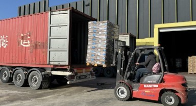 Rusya'ya 120 ton yerli ayçiçeği tohumu