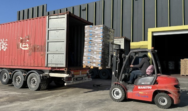 Rusya'ya 120 ton yerli ayçiçeği tohumu