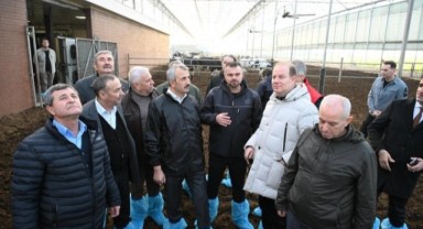 Sezer, büyükbaş hayvan işletmesini inceledi