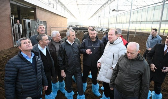 Sezer, büyükbaş hayvan işletmesini inceledi