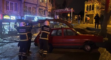Üzerine ağaç devrilen otomobilde hasar oluştu
