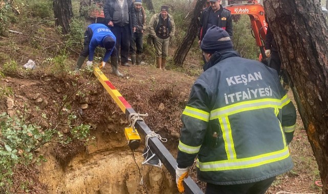 Ormanlık alanda çukura düşen keçiler kurtarıldı