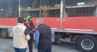 11 kaplanı taşıyan tır Kapıkule'den geçiş yaptı