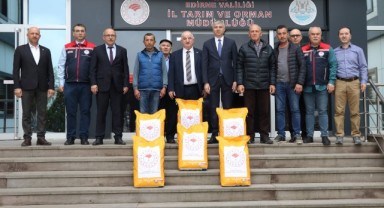 432 üreticiye ayçiçeği tohumu dağıtımı başladı