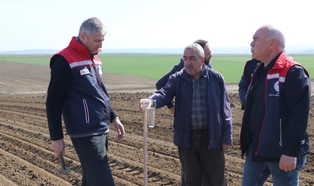Ayçiçeği verimlilik çalışmaları hız kesmeden devam ediyor