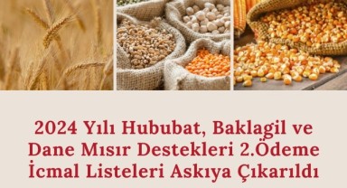 Hububat, Baklagil ve Dane Mısır destekleri için önemli duyuru