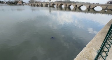 Meriç Nehri’nde cansız beden bulundu