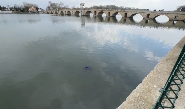 Meriç Nehri’nde cansız beden bulundu