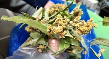 “Propolis, arı sütü ve polen gibi doğal gıdalar bu dönemde mutlaka tüketilmeli”