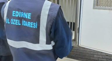 Sahipsiz köpekler veteriner müdürlüklerine teslim ediliyor