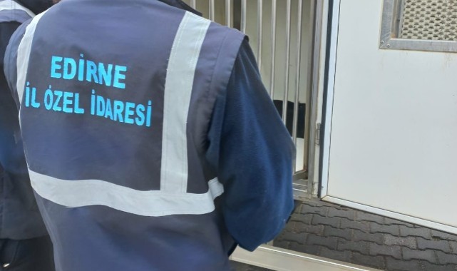 Sahipsiz köpekler veteriner müdürlüklerine teslim ediliyor