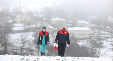 Veteriner hekimler hayvanların sağlığı için karlı yolları aşıyor