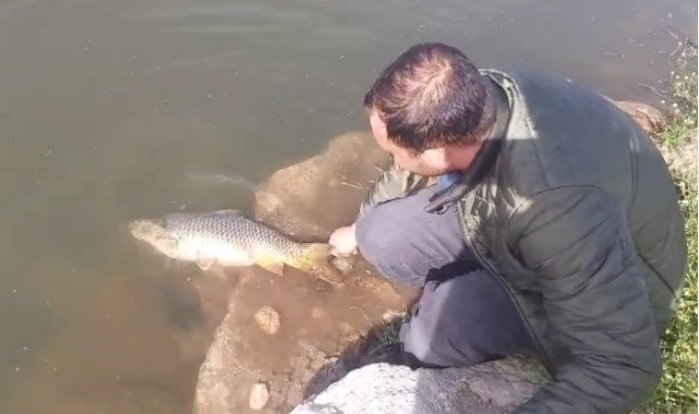 Balık avcısından duyarlı davranış