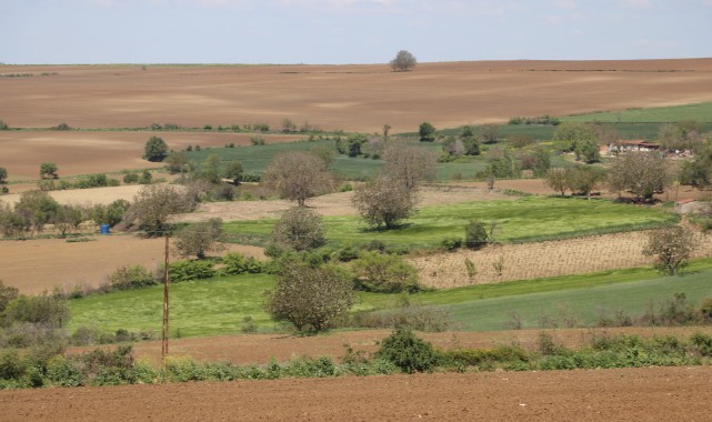 Böcek popülasyonu tarımsal üretimi olumsuz etkiliyor