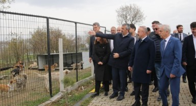 İçişleri Bakan Yardımcısı Turan, doğal yaşam alanını inceledi