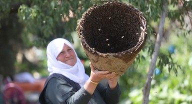 Arıcıların