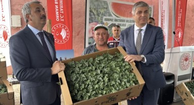 Çiftçilere dağıtılan 66 bin 640 karpuz fidesi toprakla buluştu