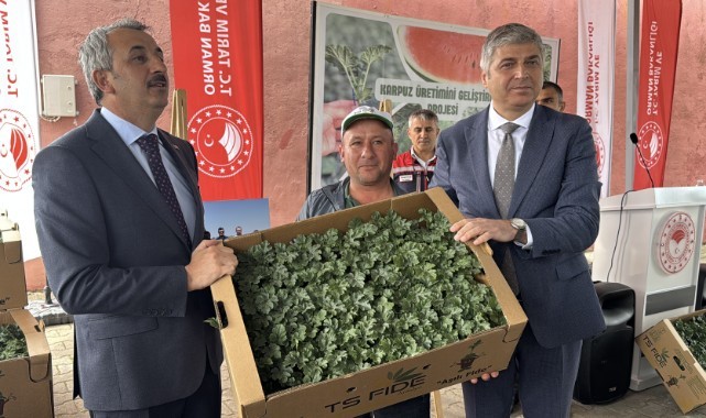 Çiftçilere dağıtılan 66 bin 640 karpuz fidesi toprakla buluştu