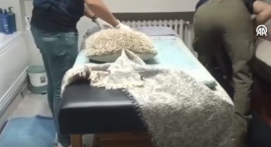Masaj salonlarına düzenlenen operasyonda 7 şüpheliye gözaltı