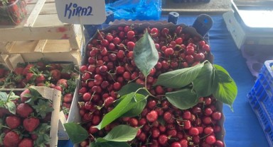 Pazartesi pazarında yaz hareketliliği