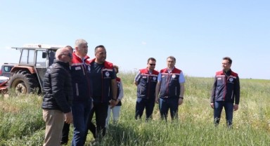 Süloğlu’nda suni merada ilk biçim