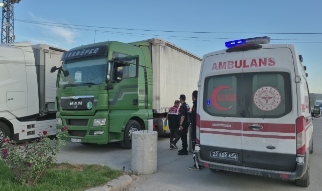 Tır sürücüsü aracında ölü bulundu