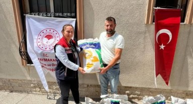 36 üreticiye ayçiçeği tohumu desteği